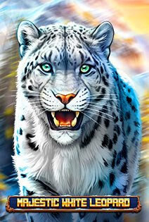 Majestic White Leopard
